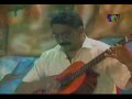 Sanjuanerita (guitarra)