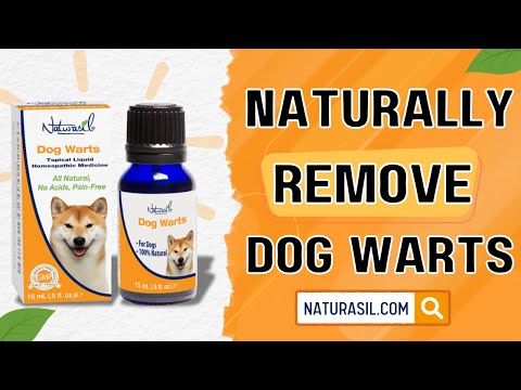 Natural Dog Wart Removal from Your Own Home |  Step-by-Step to Dog Wart Treatment the Natural Way