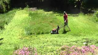 Badger Hill vs Lawns