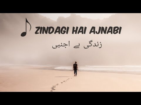 🎶 Zindagi Hai Ajnabi | Sabaat OST | Ali Sethi | Hum TV | Lyrics |Visionistan