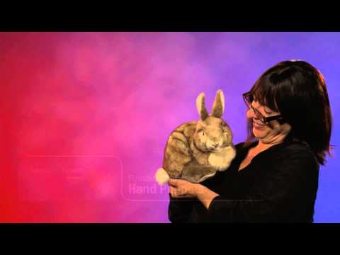 Rabbit, Cottontail Hand Puppet
