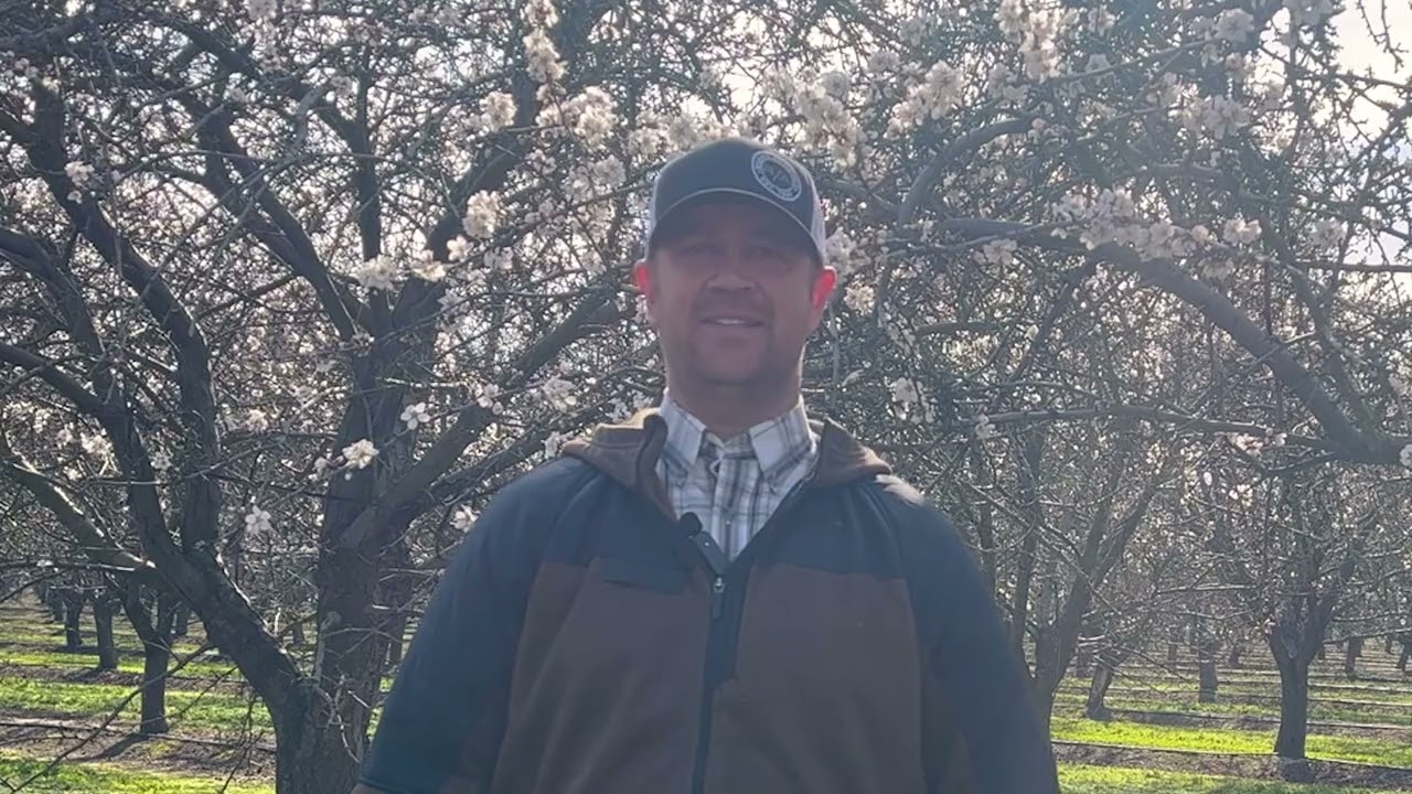 Video preview poster