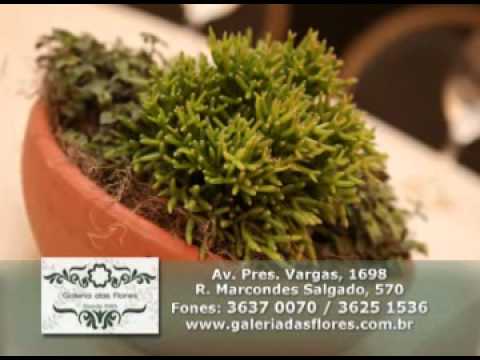 Programa Neusa Bighetti exibido no dia 21/04/2013 - Galeria das Flores