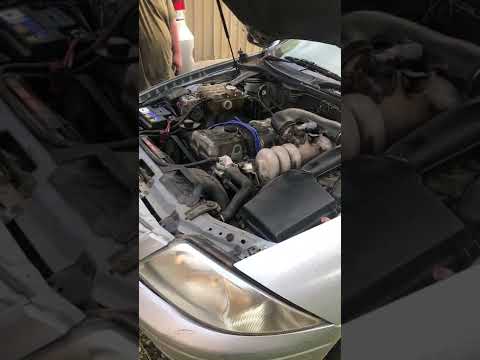Thumbnail for First Start in Years! Intech 4.0L 2000 AU Falcon #shorts