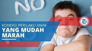 Oppositional Defiant Disorder (ODD), Kondisi Perilaku Anak Ditandai Suasana Hati yang Mudah Marah