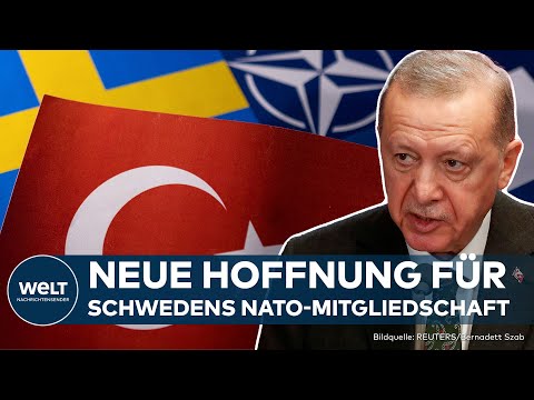 HÜRDE GENOMMEN: Türkischer Parlamentsausschuss billigt Nato-Beitritt Schwedens