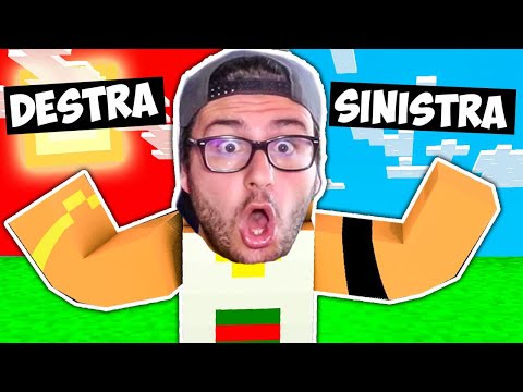 HO GIOCATO A MINECRAFT CON TUTTO INVERTITO!!