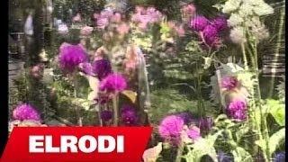 Voci - Vale Moj Vale