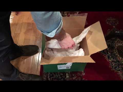 download lagu mp3 mp4 Christmas Krinkles, download lagu Christmas Krinkles gratis, unduh video klip Christmas Krinkles