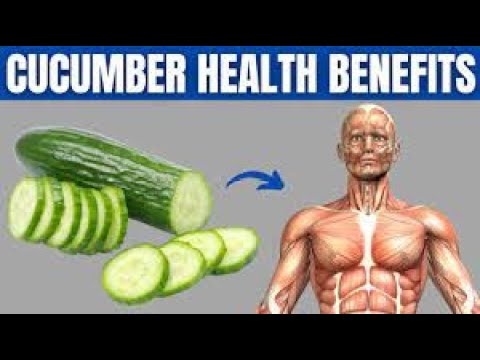 See!! Start Eating a Cucumber a Day, See What Happens to Your Body System