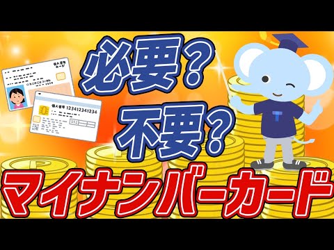 新しい運転免許証をオンラインで申請: 3 つのステップで目標を達成