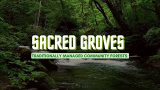 Sacred Groves