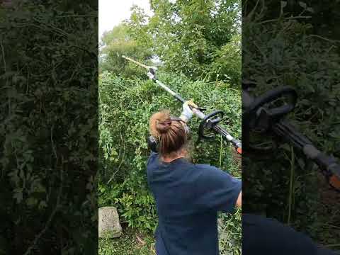 Thorn Bush - Cut Back #short