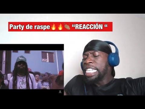 REACCIONANDO - PARTY DE RASPE ( KBP,KING JEKA ,BIG CHACHA , EL DOLLAR)