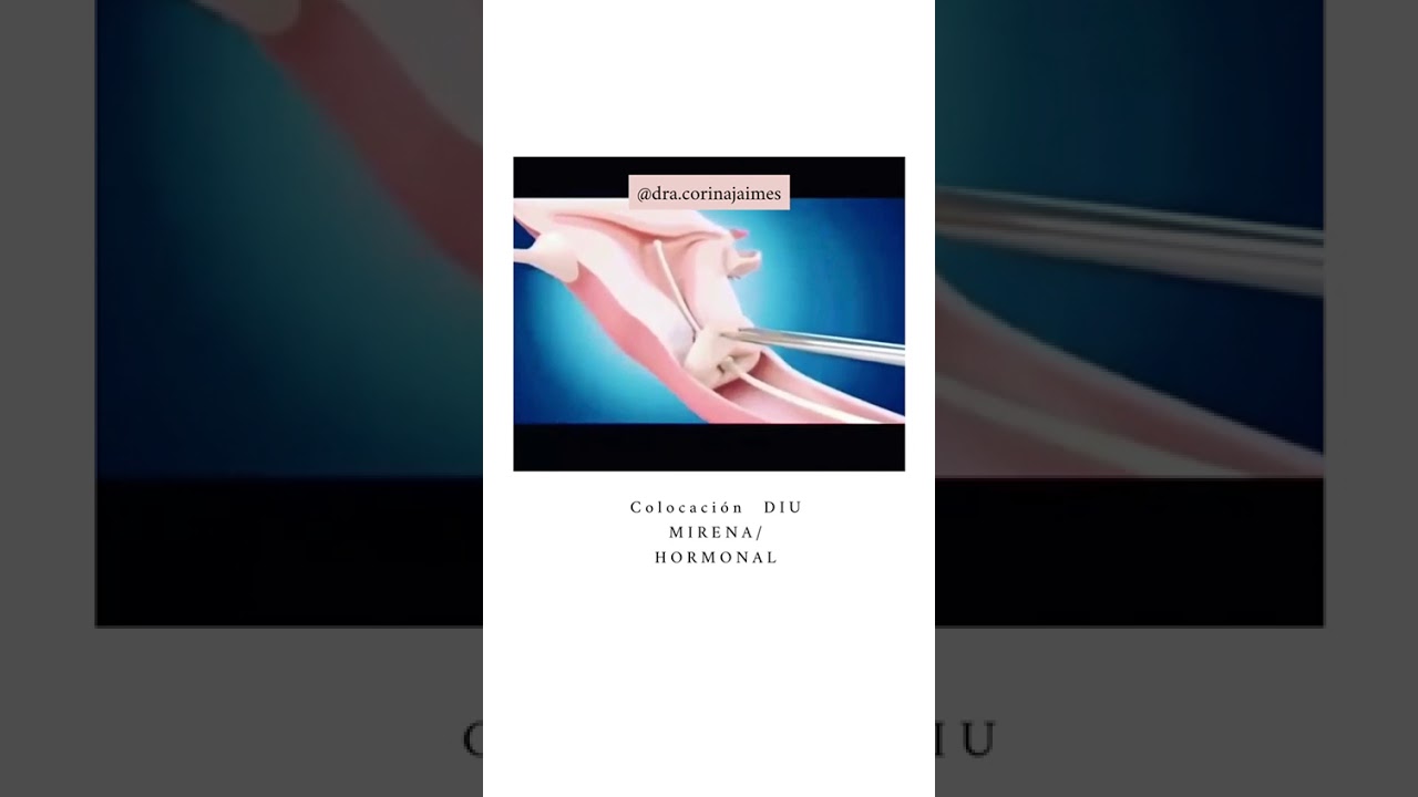 Corina Sánchez Jaimes-10