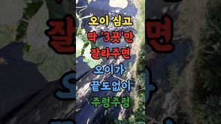 오이 심고 딱 3곳만 잘라주면 오이가 끝도없이 주렁주렁