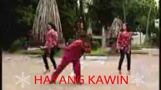Download lagu Kun Kun - Hayang Kawin mp3
