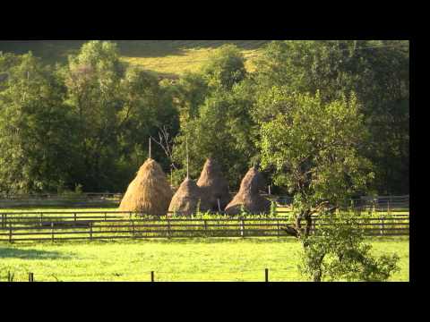 Istoria unei jertfe - mărturii cutremurătoare - de Traian Dorz