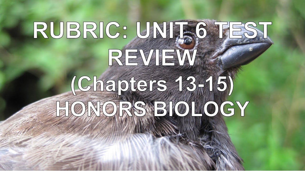 PowerPoint RUBRIC Unit 6 Test Review (Chapters 13, 14, and 15)