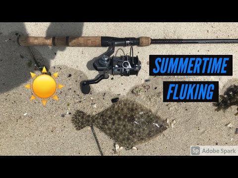 Summer Fluke Fishing, South Shore Long Island!