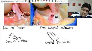Download Lagu Approach to Orthopaedic MCQ by Dr Tushar Mehta DAMS Faculty Thumbnail
