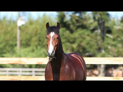 Lot 03 VALETE JB DE PALERMO