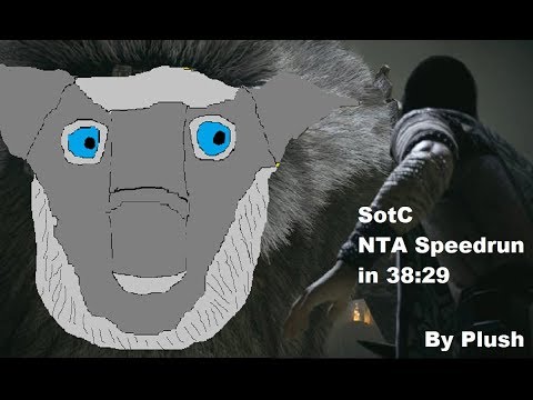 Shadow of the Colossus Normal Boss Rush Speedrun in 38:29
