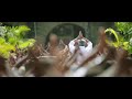 Nenja Koduthaka Vellavi Manasu Karane Thilagar Song OrePeru Thala Ajith Mashup WhatsAppStatus