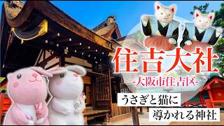 渡るだけでお祓いになる?住吉大社の「反橋」と神の使いに導かれる癒しの参拝|大阪市住吉区