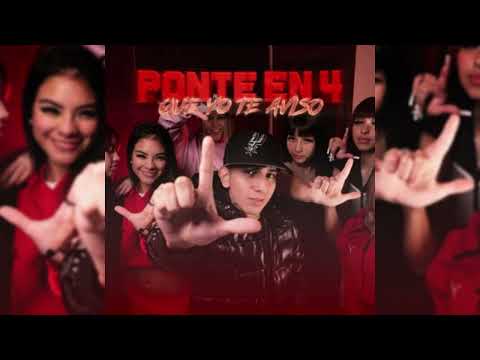 PONTE EN 4 QUE YO TE AVISO