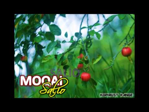 Moqai - Salio