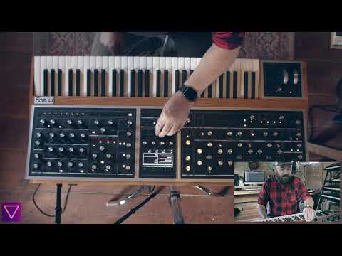 Moog One free presets demo