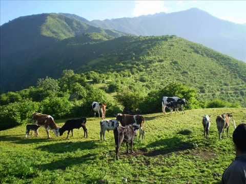Mina Gonzales y Totito De Santa Cruz - El Alizal