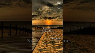 Download lagu 💕Roja Kadale💕Anegan💕Harris Jayaraj💕Video Lyrics song💕Tamil Whatsapp Status Songs💕 mp3 Download lagu 💕Roja Kadale💕Anegan💕Harris Jayaraj💕Video Lyrics song💕Tamil Whatsapp Status Songs💕 mp3