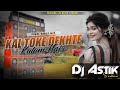 Kal Toke Dekhte Kutum Naki Asechilo Go Dj Song | Old Purulia Dj Song | Full Dehati Mix | Dj Astik