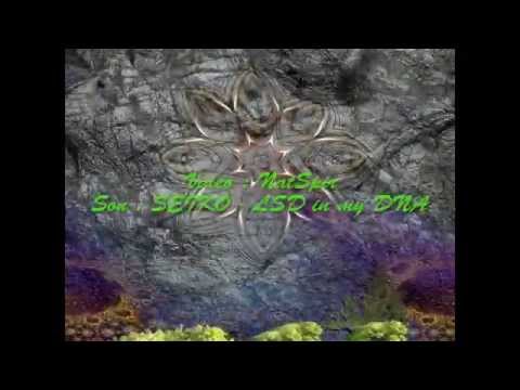 Seiko(Nes) - LSD in my DNA - VJing by NatSpir