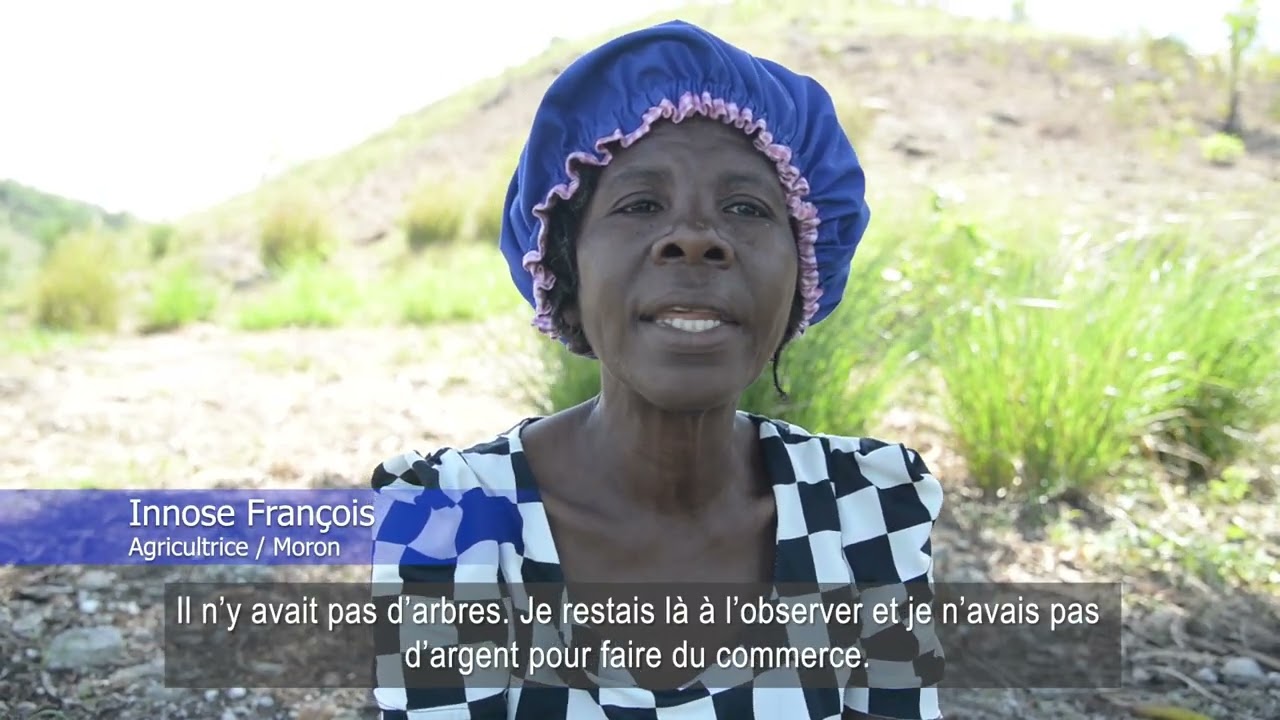 Haïti : des communautés qui restaurent les terres et renforcent leur résilience climatique