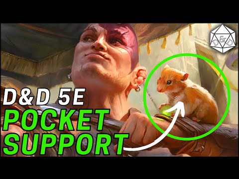 The Pocket Support: Take Your Dreams Druid Anywhere! | D&D 5e Build