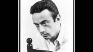 Liberal First Amendment attorney compares Michael Savage to Lenny Bruce