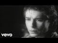 The Psychedelic Furs - The Ghost in You 