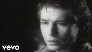 The Psychedelic Furs - The Ghost In You video
