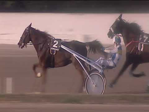 Trotto 08/02/2019 - 3ª corsa