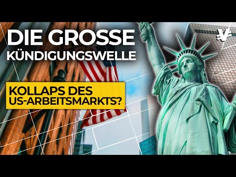 Warum so viele Amis einfach ihren JOB GEKÜNDIGT haben! - VisualEconomik DE