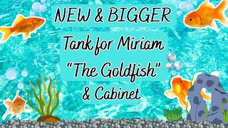 New & Bigger Fish Tank PLUS Putting Together the New Cabinet! MISTAKES WERE MADE!