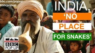 What happened to India&#39;s snake charmers? BBC News