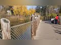 Detroit Zoo Part 1