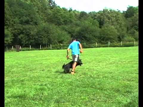 Fery z Vodňanské doliny