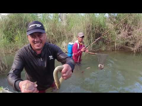 EP17 Buhay probinsya part 2 - Electric fishing | pangunguryente daming igat | catch & cook