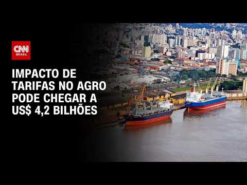Impacto de tarifas no agronegócio pode chegar a US$ 4,2 bilhões; entenda | CNN AGRO NEWS