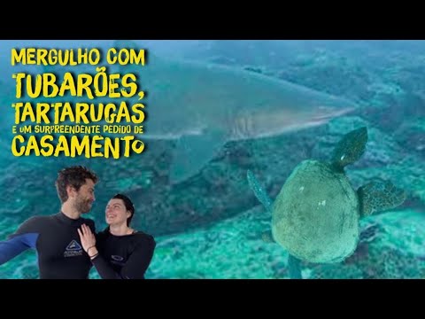 DIVING INTO LOVE - SCUBA DIVING ❤️